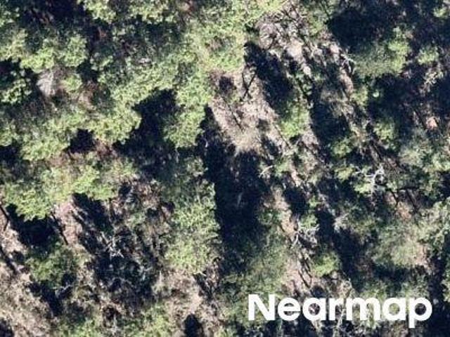 Land for sale in Hawthorne, Florida