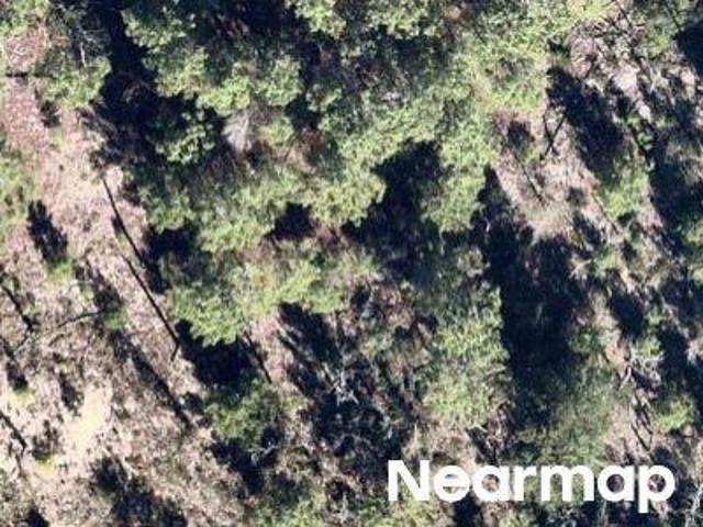 Land for sale in Hawthorne, Florida