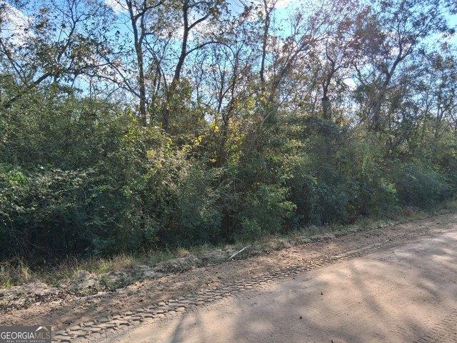 Land for sale in Tennille, Washington County