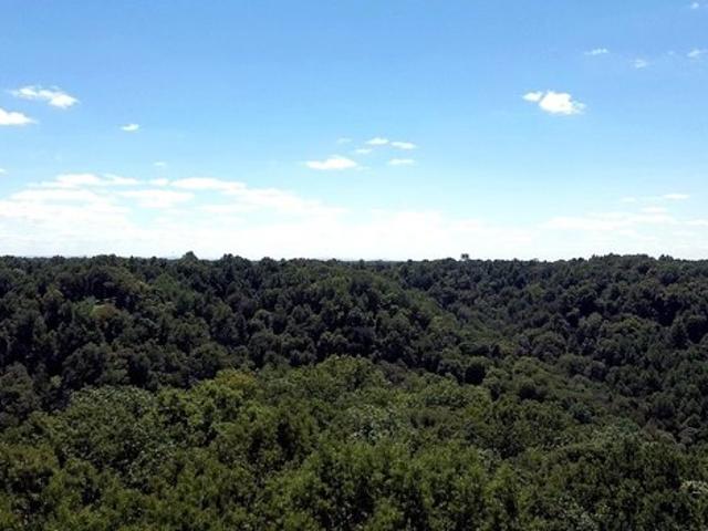 Land for sale in Smithville, Middle Tennessee