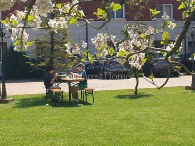 Casă închirieri în București