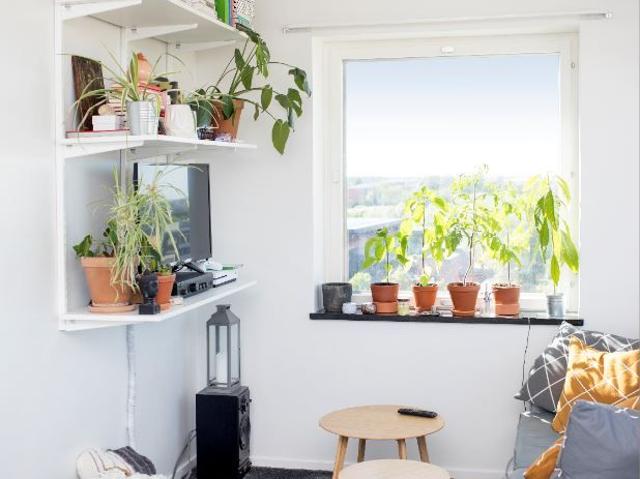 Lägenhet hyra i Botkyrka, Stockholm