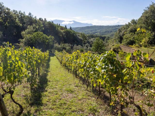 Casa in vendita a Montalcino, Toscana