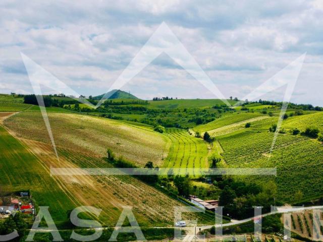 Villa Indipendente in vendita a Retorbido, Lombardia