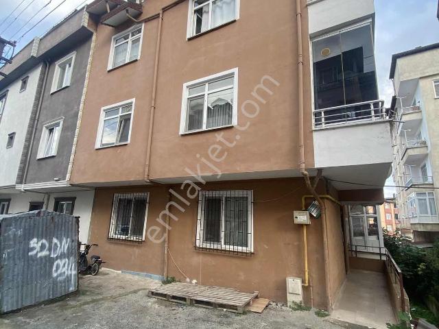 Ordu, Altınordu içerisinde kiralık mülk