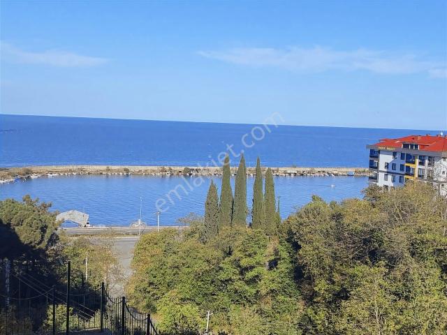 Ordu içerisinde kiralık mülk