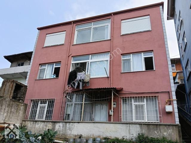 Zonguldak Merkez, Zonguldak içerisinde kiralık mülk