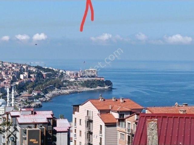 Zonguldak Merkez, Zonguldak içerisinde kiralık mülk