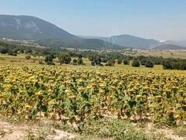 Gölpazari, Bilecik içerisinde satılık Arsa