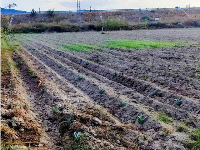 Aydın, Efeler içerisinde satılık Arsa