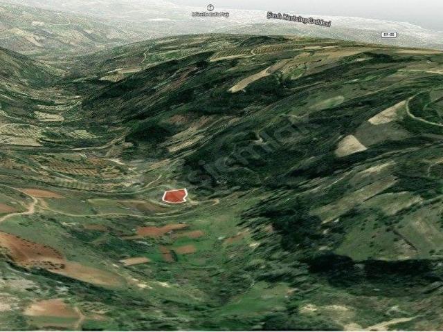 Kilisedüzü, Şarköy içerisinde satılık Arsa