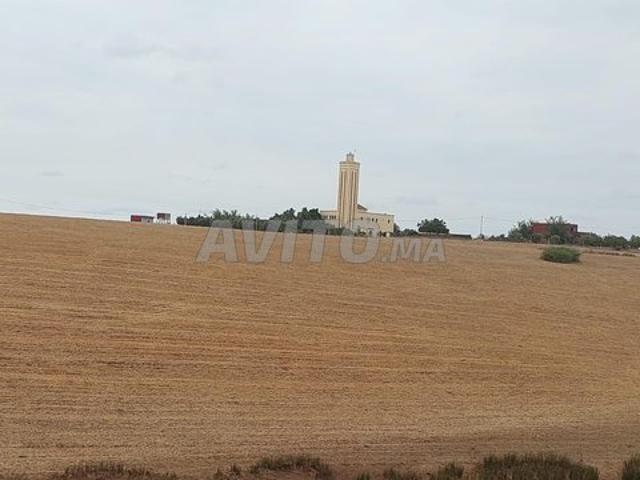 Propriété vente à Salé