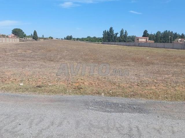 Propriété vente à Salé