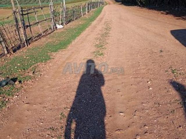 Propriété vente à Salé