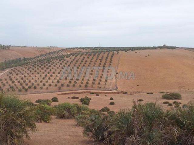 Propriété vente à Salé
