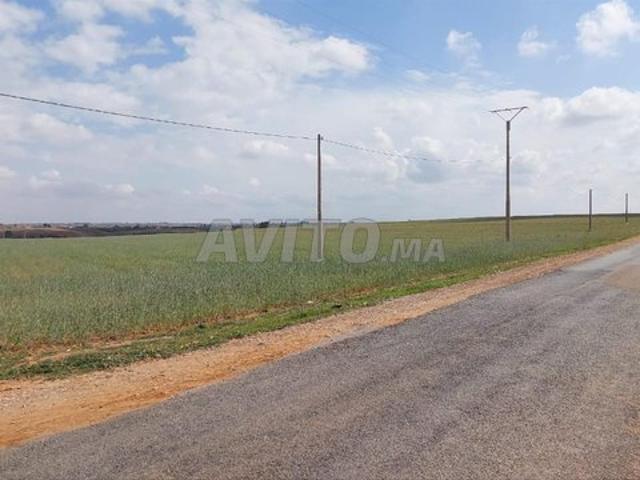 Propriété vente à Salé