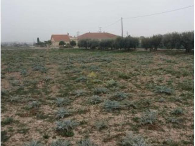 Local Comercial en venta en Los Abades y las Norias, Alto Guadalentín