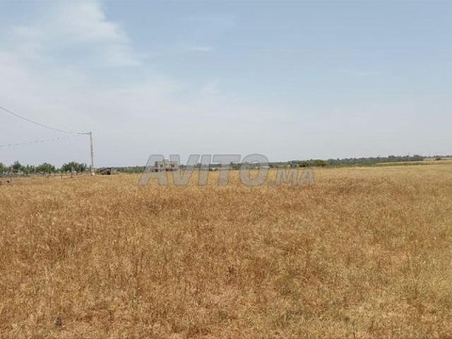 Propriété vente à Salé