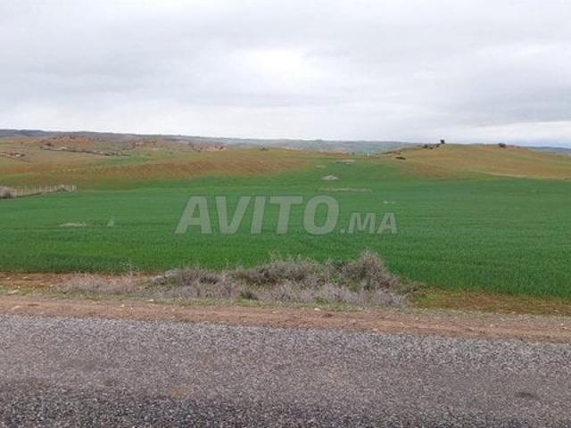 Propriété vente à Salé