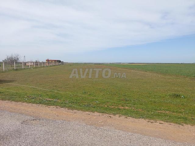 Propriété vente à Salé