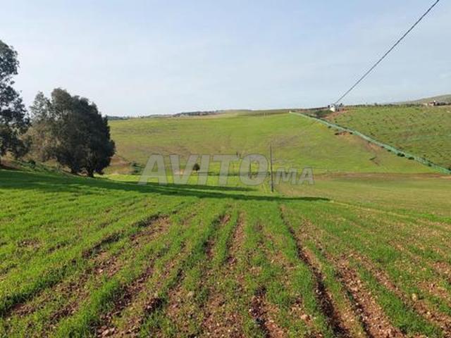 Propriété vente à Salé