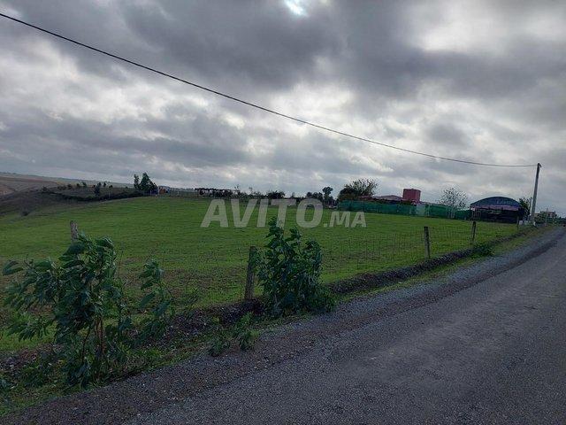 Propriété vente à Salé