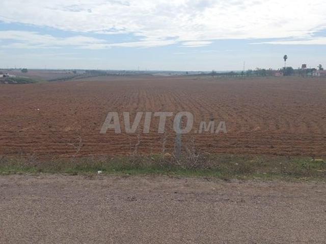 Propriété vente à Salé