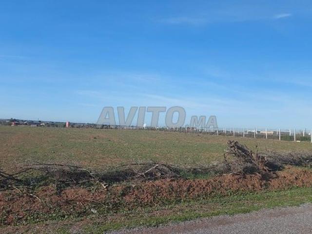 Propriété vente à Salé