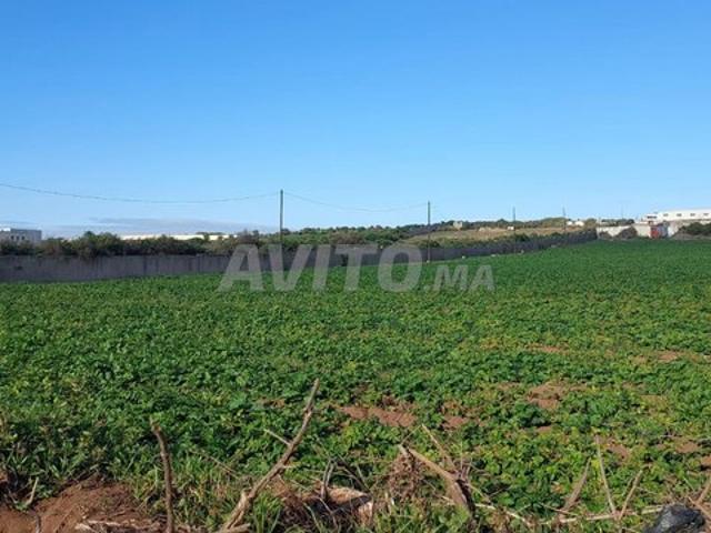 Propriété vente à Salé