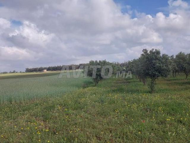 Propriété vente à Salé