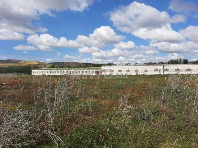 Propriété vente à Salé