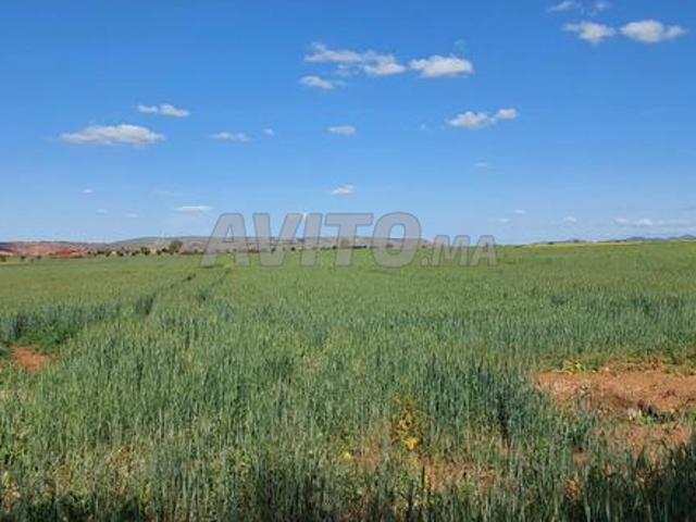 Propriété vente à Salé