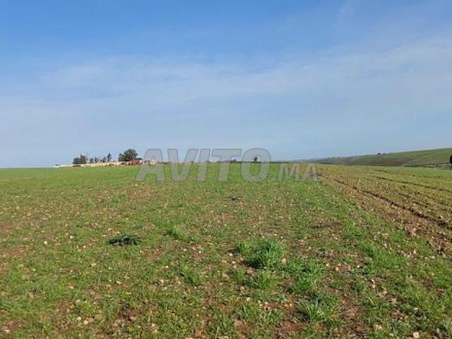 Propriété vente à Salé