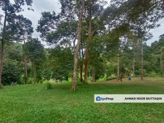 Shop for sale in Pilah, Kuala Pilah