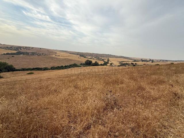 Terrain vente