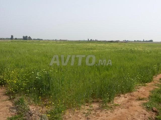 Propriété vente à Ouarzazate