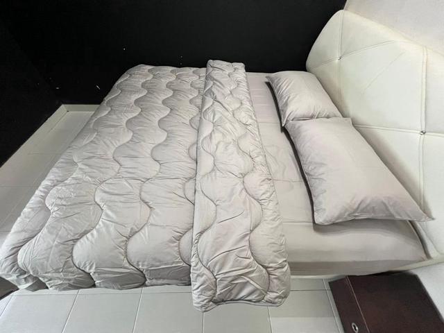 Serviced Residence for rent in Johore Bahru, Johor