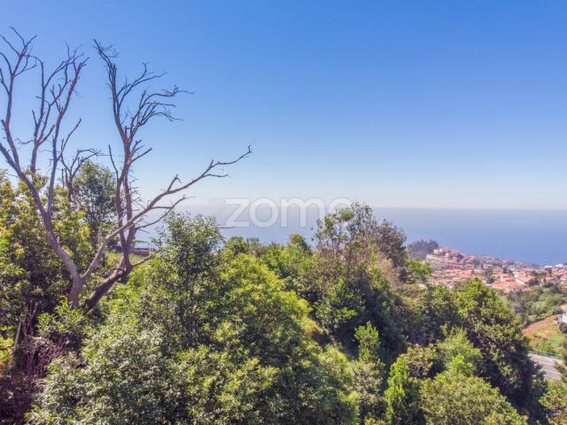 Terreno venda em Funchal, Ilha Da Madeira