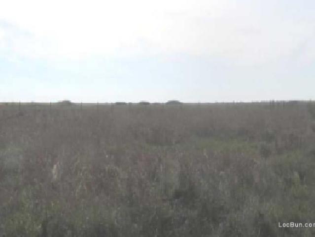 Teren vânzări în Beregsau Mare, Timiș