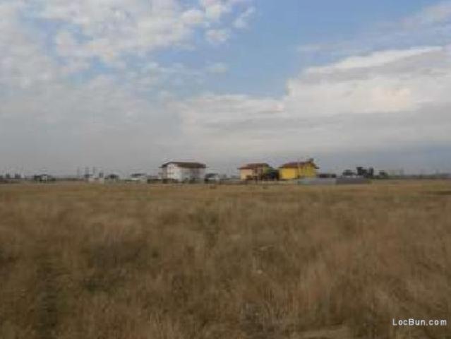 Teren vânzări în Romani