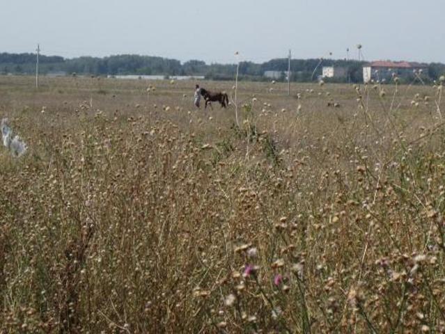 Teren vânzări în Romani, București
