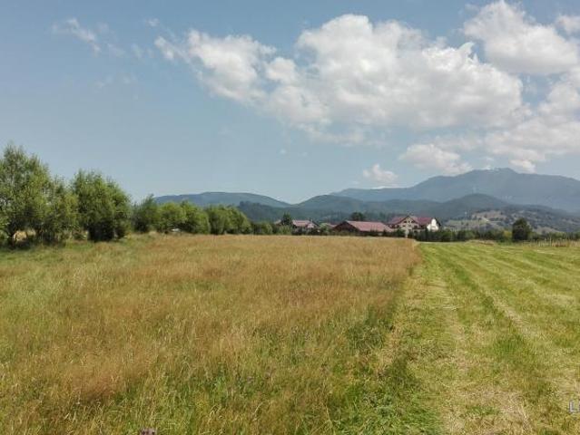 Teren vânzări în Rasnov