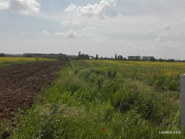 Teren vânzări în Dumbraveni