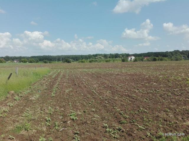 Teren vânzări în Balotesti, Ilfov