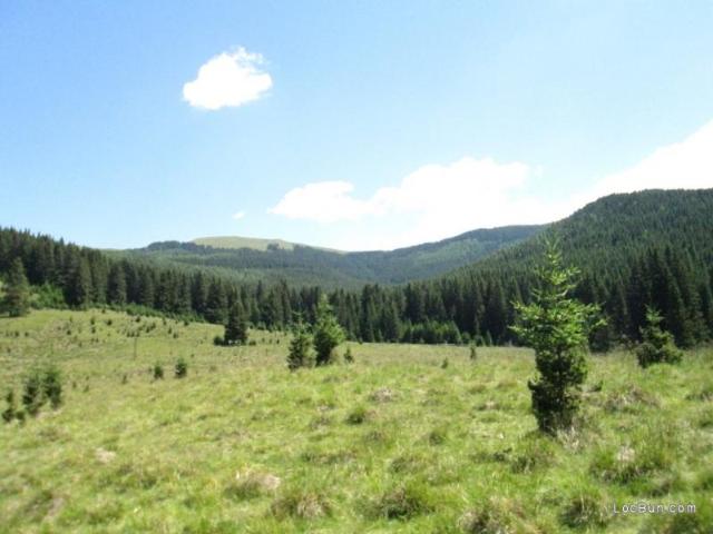 Teren vânzări în Moroeni, Dâmbovița