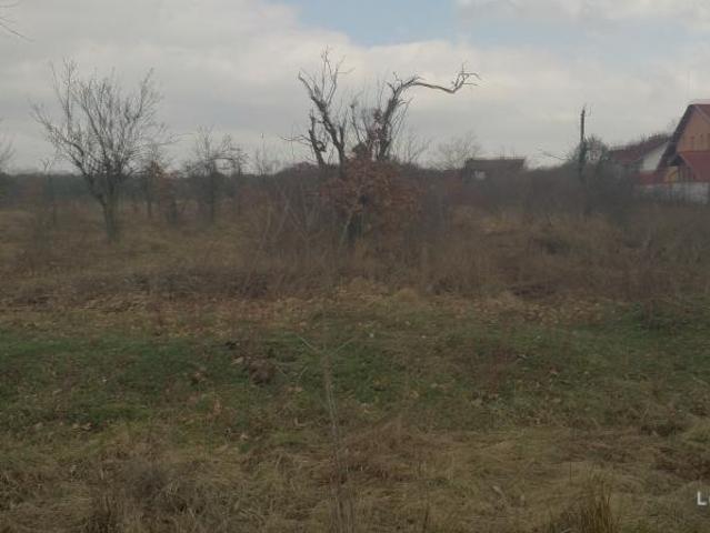 Teren vânzări în Argeș