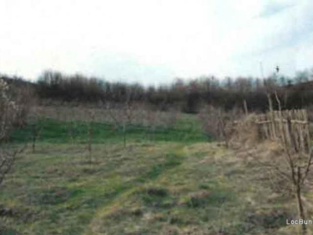 Teren vânzări în Priboieni, Argeș