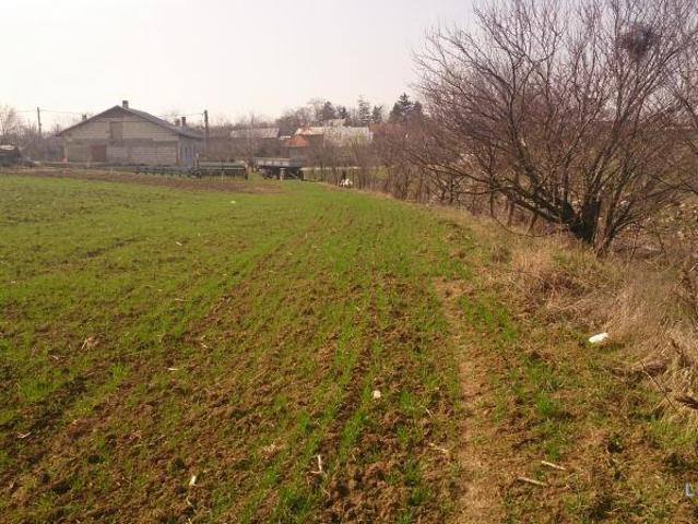 Teren vânzări în Butimanu, Dâmbovița