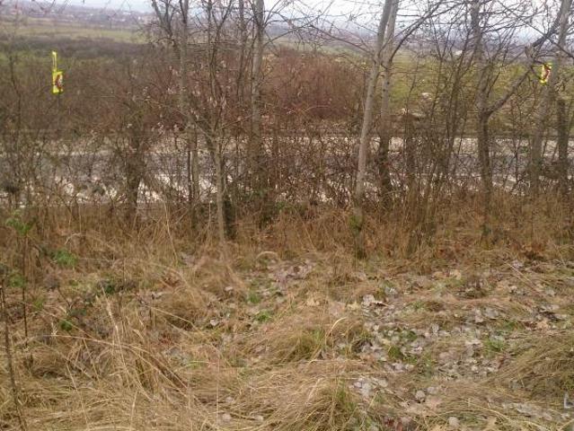 Teren vânzări în Baia Mare, Maramureș