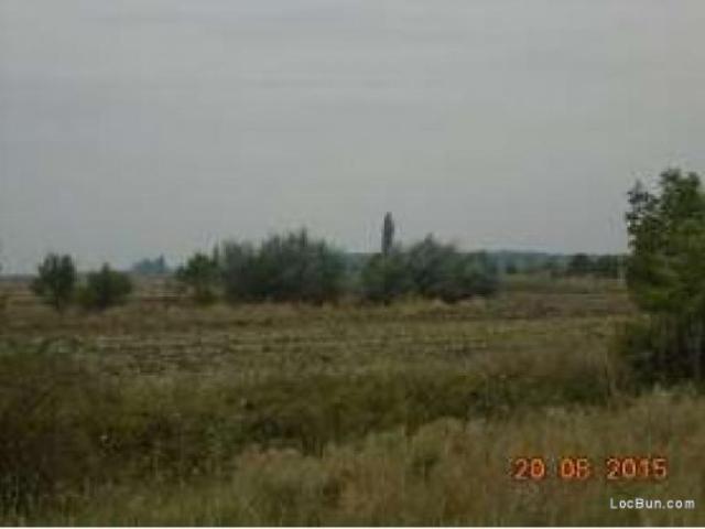 Teren vânzări în Romani, București